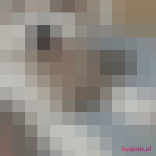 Anetka32, Female, 34 years, Łosice