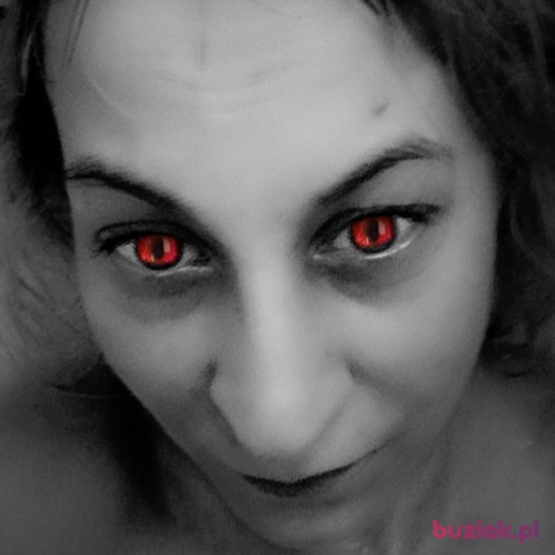 SurykatkaxXx, Kobieta, 31 lat, Puławy