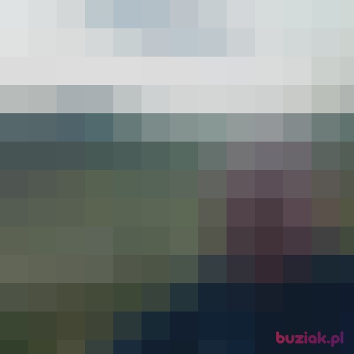 pollux1, Male, 63 years, Zgorzelec