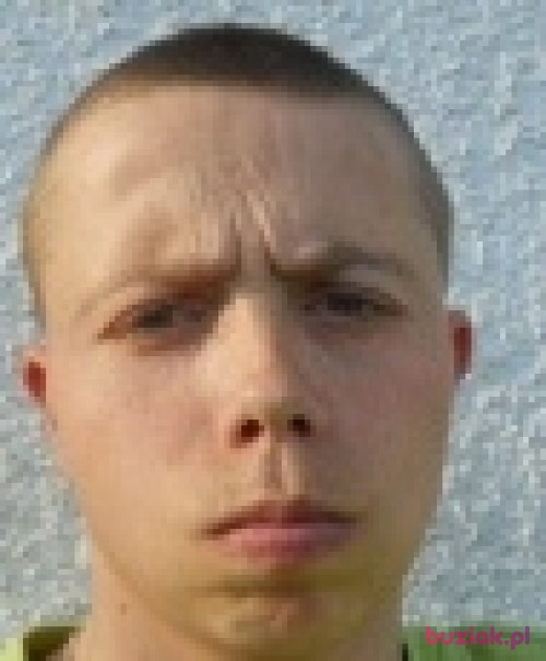 tulipan81, Male, 43 years, Kraków