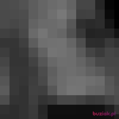 kamildiablo06, Male, 29 years, Utrecht