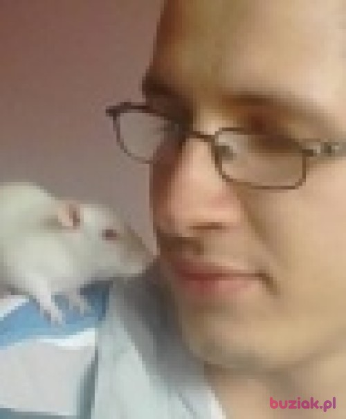 bartus3312, Male, 32 years, Busko-Zdrój