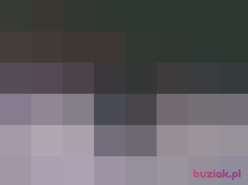 pawelwrz, Male, 57 years, Września