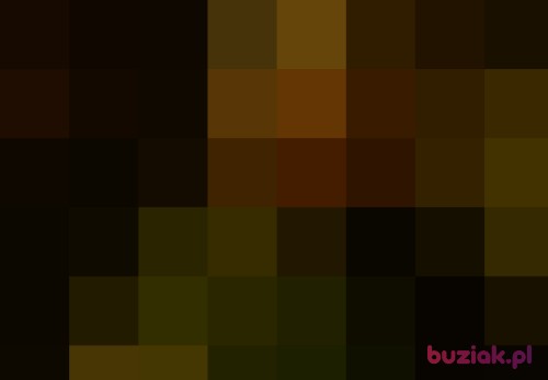 janekswir, Male, 62 years, Opole