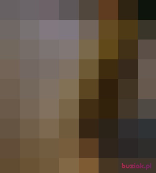 maciejos2, Male, 41 years, Oss North Brabant Province
