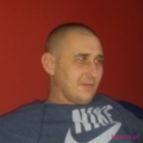 mustang81, Male, 43 years, Katowice