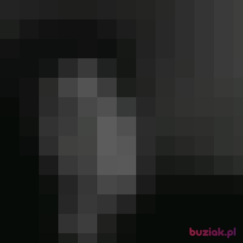 Stifleralfons, Male, 20 years, Rzeszów