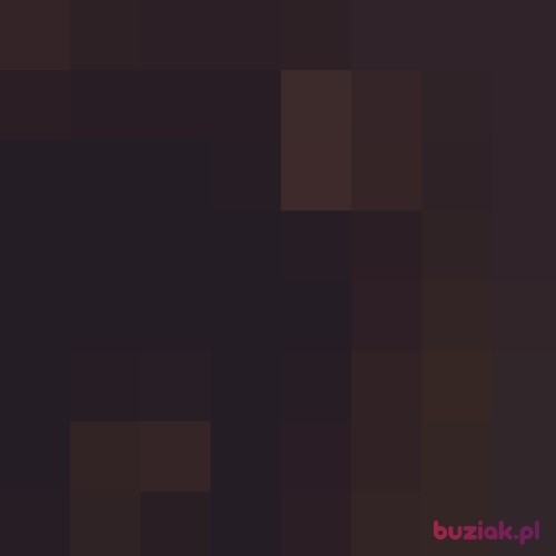 69691, Male, 25 years, Łódź