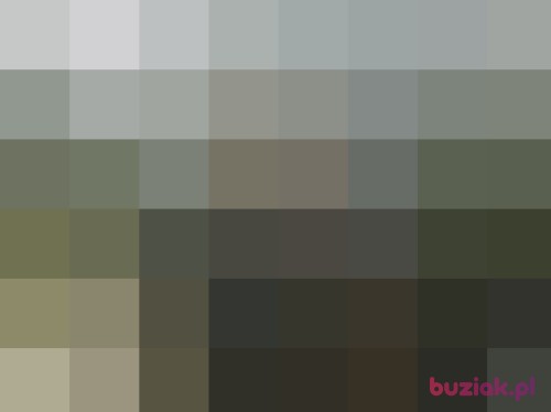 wiesia53, Female, 63 years, Szamocin