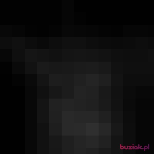 PewienPanzb, Male, 33 years, Kartuzy