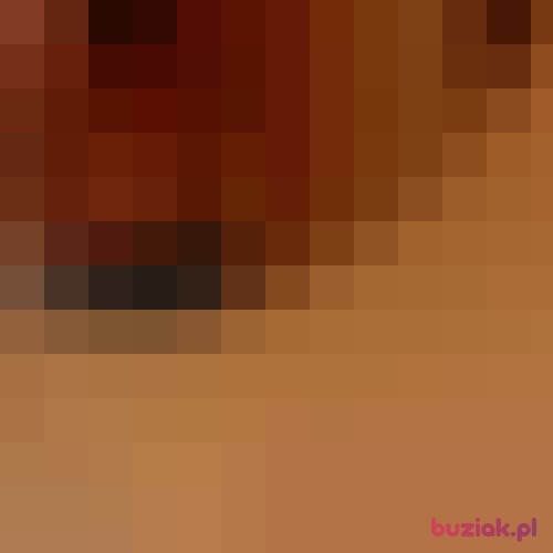 Adam89u, Male, 35 years, Chorzów
