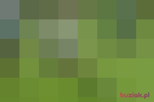 xXDanieloo93Xx, Male, 32 years, Skwierzyna