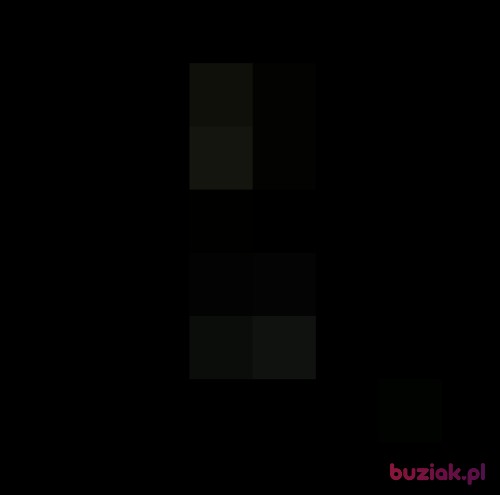 Nestja, Kobieta, 23 lata, Warszawa