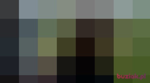 sony666, Male, 51 years, Rawicz