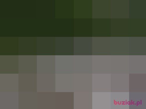 darekkonopskii, Male, 42 years, Morąg