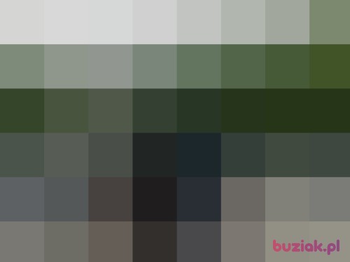 Franek54321, Male, 56 years, Opole