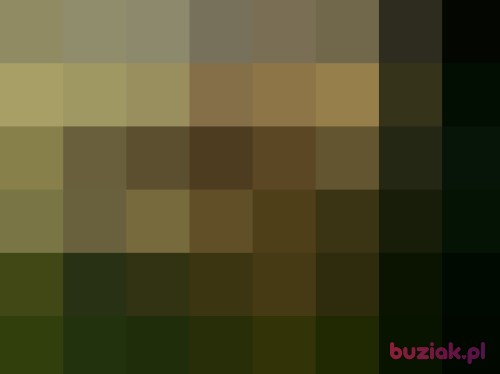 dacord, Male, 63 years, Gniezno