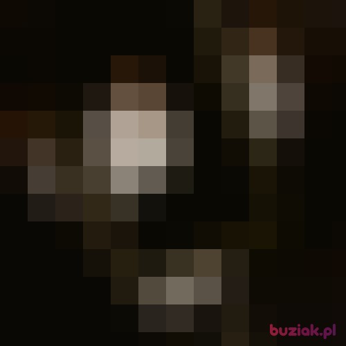 sul, Male, 23 years, Rotterdam South Holland Province