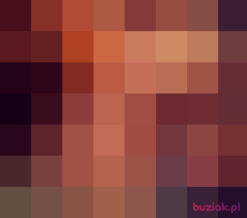 NiegrzecznyChop, Male, 30 years, Sosnowiec