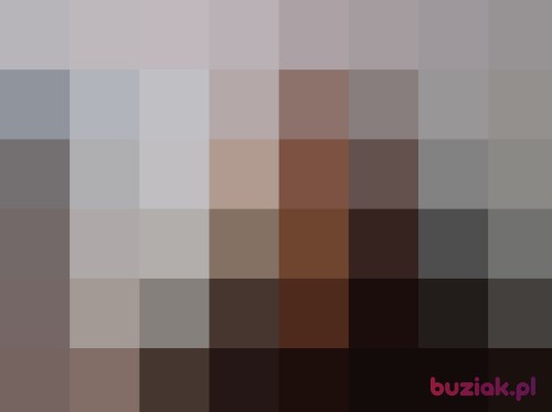 reno1, Male, 42 years, Bielsko-Biała