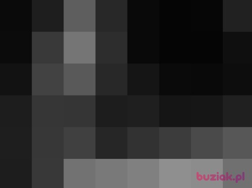 tomasz2727, Male, 38 years, Gdańsk