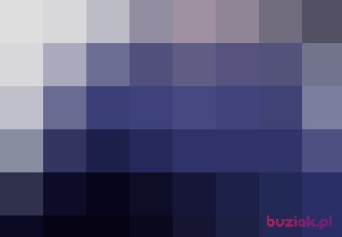 obywalx, Male, 43 years, Katowice