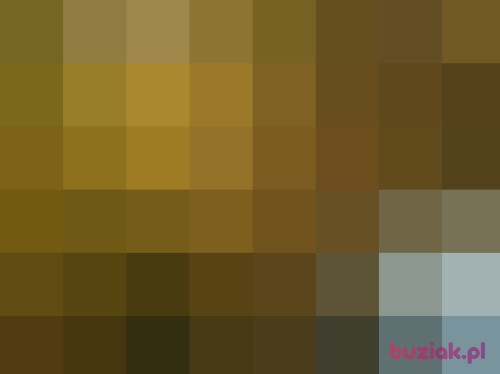 dawidoxd, Male, 40 years, Nisko