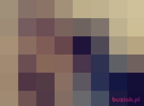 revennn, Mężczyzna, 41 lat, kujawsko-pomorskie