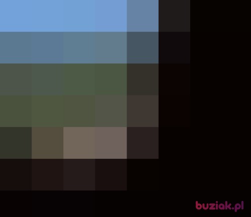 MozeMinetkexd, Male, 36 years, Rotterdam South Holland Province
