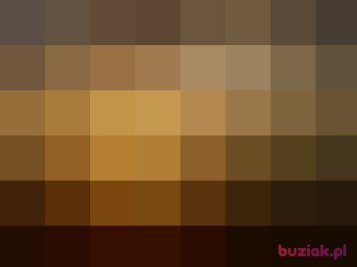 misassss, Male, 42 years, wielkopolskie