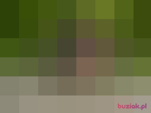 Halka05, Female, 67 years, Lublin