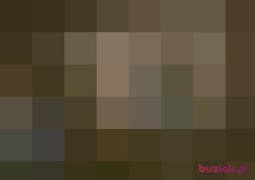 mix122, Male, 51 years, Czechowice-Dziedzice