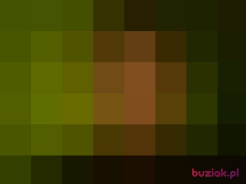 aavva, Male, 35 years, Legnica