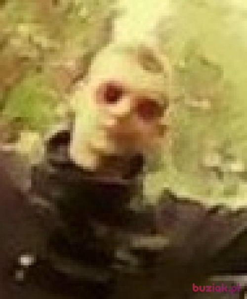 Bongosik19, Male, 27 years, Kętrzyn