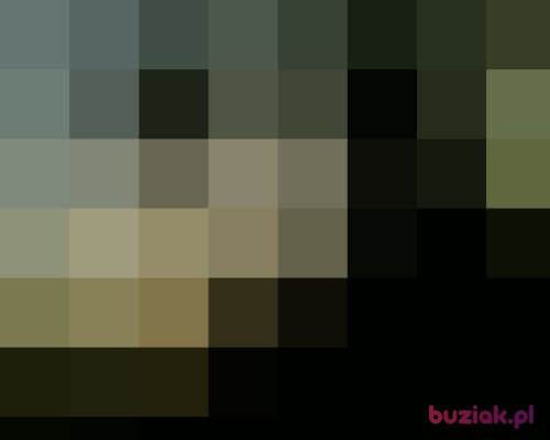 lssk, Male, 35 years, Zielona Góra