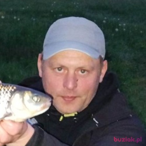 psi, Male, 44 years, Mońki