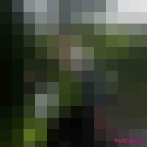 Conklawe, Male, 40 years, lubelskie