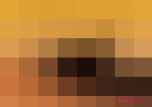 marektracz1976, Male, 49 years, podkarpackie