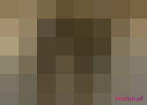 majczi91, Male, 33 years, Wrocław
