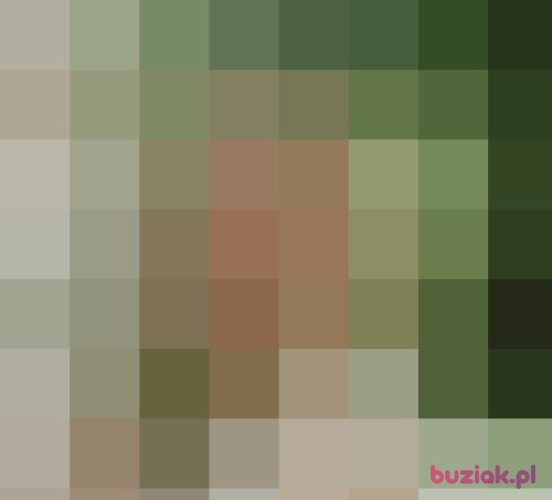 lili0123, Female, 36 years, Wrocław