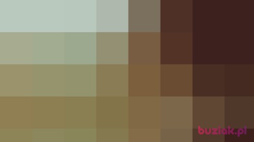 Ankara20, Kobieta, 31 lat, kujawsko-pomorskie