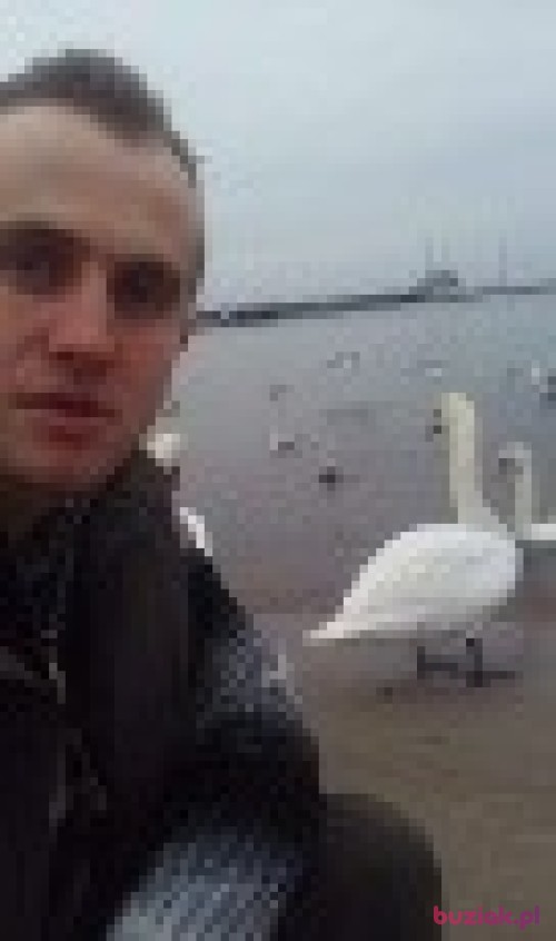 telefon23, Mężczyzna, 36 lat, Bielsko-Biała