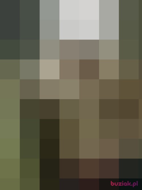 Misiekkk2134, Male, 37 years, Hamburg