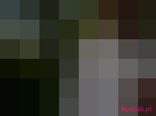 manksty1, Male, 38 years, Tychy