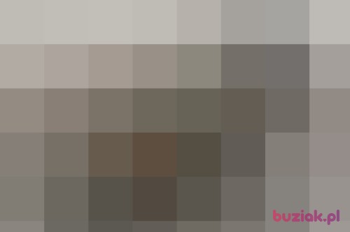 kamcia0909, Female, 28 years, Brodnica