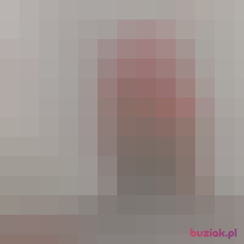 smialySebo, Male, 41 years, Elbląg