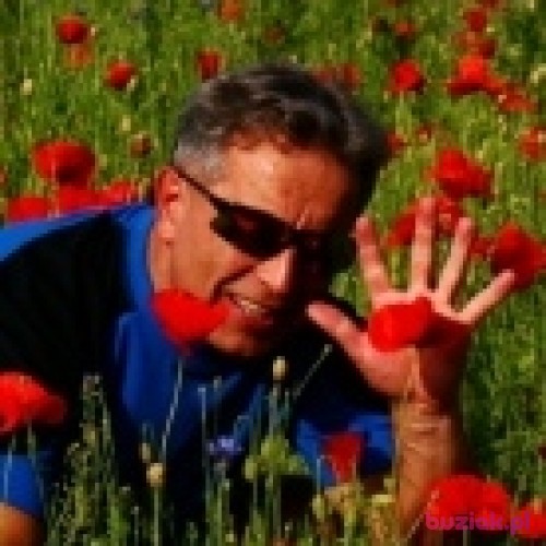 napoleonbonapar, Male, 56 years, Węgorzewo