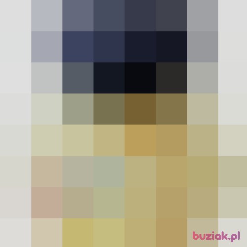 bezbek, Male, 31 years, Kartuzy