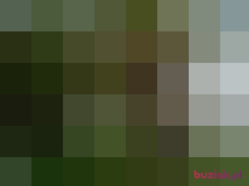 ralph20, Male, 37 years, Lublin
