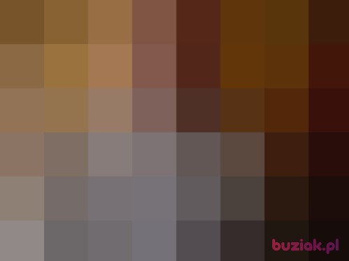 1407, Male, 49 years, Gliwice